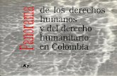 Panorama de los derechos humanos y del derecho humanitario en Colombia. Informe de avance sobre 1999