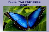 Poesía de la Naturaleza. "La Mariposa Azul"