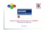 Gestión de procesos con ADONIS
