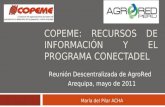 III Reunión Descentralizada Arequipa Mayo 2011 - COPEME