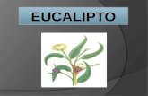 Presentacion de ciencias del eucalipto