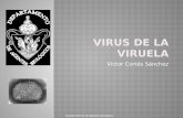 12.  Virus de la Viruela