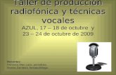 Taller Produccion Radial Azul 2009 2