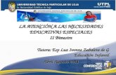ATENCION A LAS NECESIDADES EDUCATIVAS ESPECIALES (II Bimestre Abril agosto 2011)