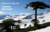 Parque Nacional - Sierra Nevada