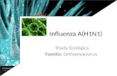 Influenza A (H1 N1)