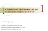 Presentacion Experiencias Internacionales