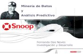Data Mining Snoop Consulting Arg