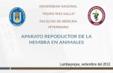APARATO REPRODUCTOR DE LA HEMBRA EN ANIMALES