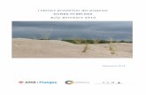 Informe preliminar del projecte Dunes Híbrides