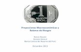 Proyecciones Macro y Balance de Riesgos 2014 (BCR)