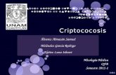 Micología Médica - Criptococcosis en VIH