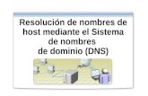 DNS. Resolucion de Nombres