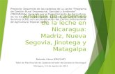 Análisis de cadenas de la leche en Nicaragua:Madriz, Nueva Segovia, Jinotega y Matagalpa