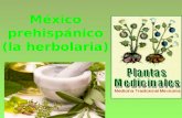 M©xico prehispanico (herbolaria)