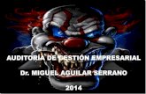 Curso Auditoría de Gestión Empresarial 09.MAY.2014 -  Dr. Miguel Aguilar Serrano