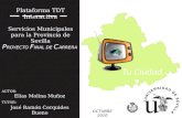 Plataforma tdt interactiva servicios municipales para la provincia de sevilla