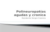 Polineuropatías agudas y cronica