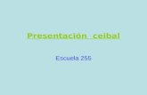PresentacióN  Ceibal Esc255