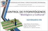 Control biológico y cultural 2013
