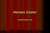Herpes Zoster - Odontología