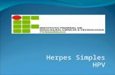 Herpes simples travbalho slide modificado