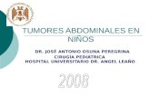 Tumores Abdominales En NiÑOs Version 08 Con Anim