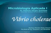 MicrobiologíA Aplicada I
