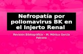 Nefropatia por Virus BK en el Injerto Renal