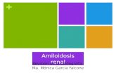 Amiloidosis Renal: revisi³n bibliogrfica