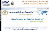 Ayudando a los bebés a respirar (ABR) - HECAM 2014