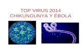 Virus: Ébola y Chikungunya en 2014, España