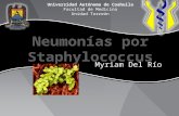 Neumonías por staphylococcus