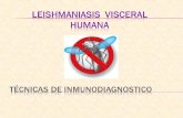 Leishmaniasis visceral humana