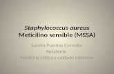 Staphylococcus aureus mssa