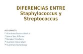 Diferencias entre staphylococcus y streptococcus