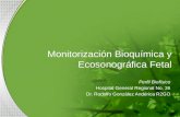 Monitorización bioquímica y ecosonográfica fetal