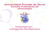 Universidad Privada de Tacna - Odontología