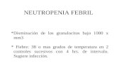 Neutropenia febril-power-point-2006