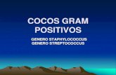 2 cocos gram positivos