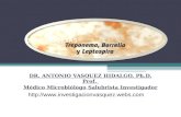 Genero treponema y leptospira micro 2013