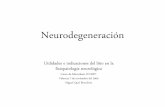 Interés del litio en neurodegeneración.
