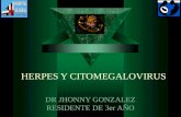 Herpes y citomegalovirus