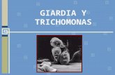 Giardia Y Trichomonas