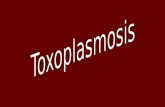 Toxoplasmosis presentacion USACH