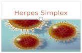Herpes simple 1 y dos