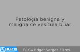 Patología benigna y maligna de vesícula y vias biliares