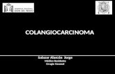Manejo de Colangiocarcinoma
