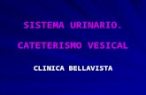 cateterismo vesical protocolo Clinica Belavista ESE Antonio Nariño CALI