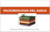 Microbiologia del suelo para estudiantes de microbiologia ambiental